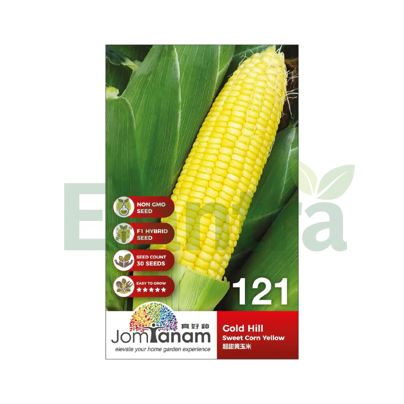 121 SWEET CORN YELLOW